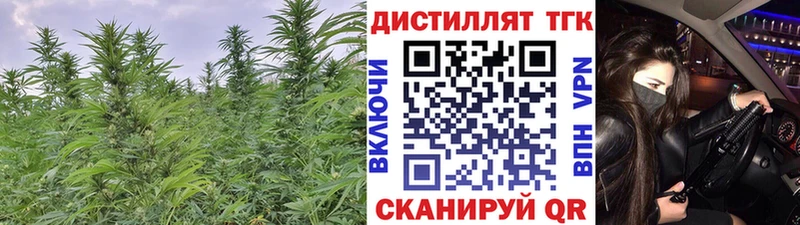 где продают наркотики Кашира Дистиллят ТГК вейп с тгк