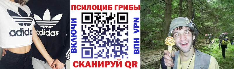 Галлюциногенные грибы GOLDEN TEACHER  Кашира 